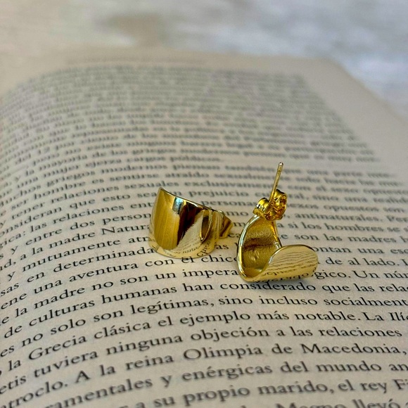 Gorgeous 14K Gold plating earrings. - Picture 1 of 2